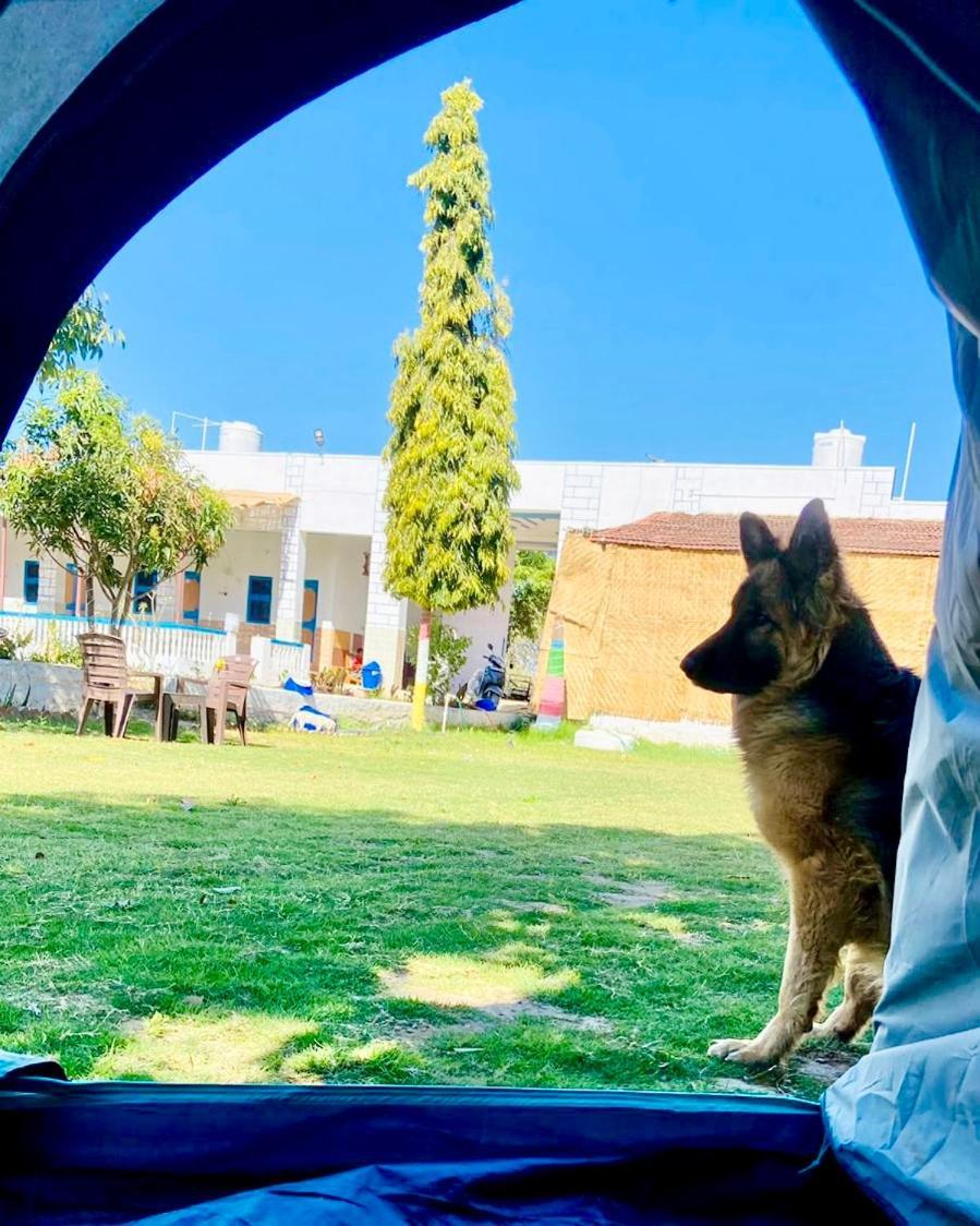 Lazy Staytion Pushkar Bagian luar foto